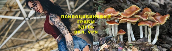 прущая мука Алексеевка