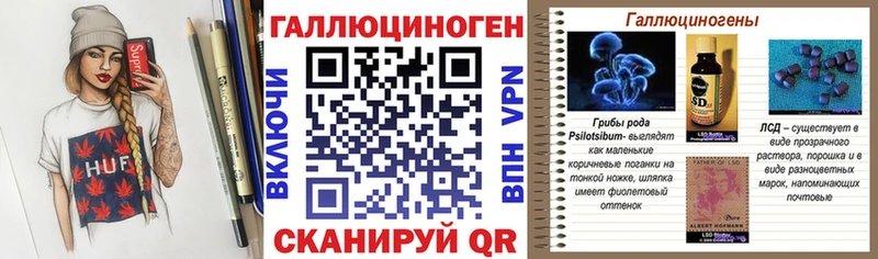mega рабочий сайт  Котово  Галлюциногенные грибы Psilocybine cubensis  купить  